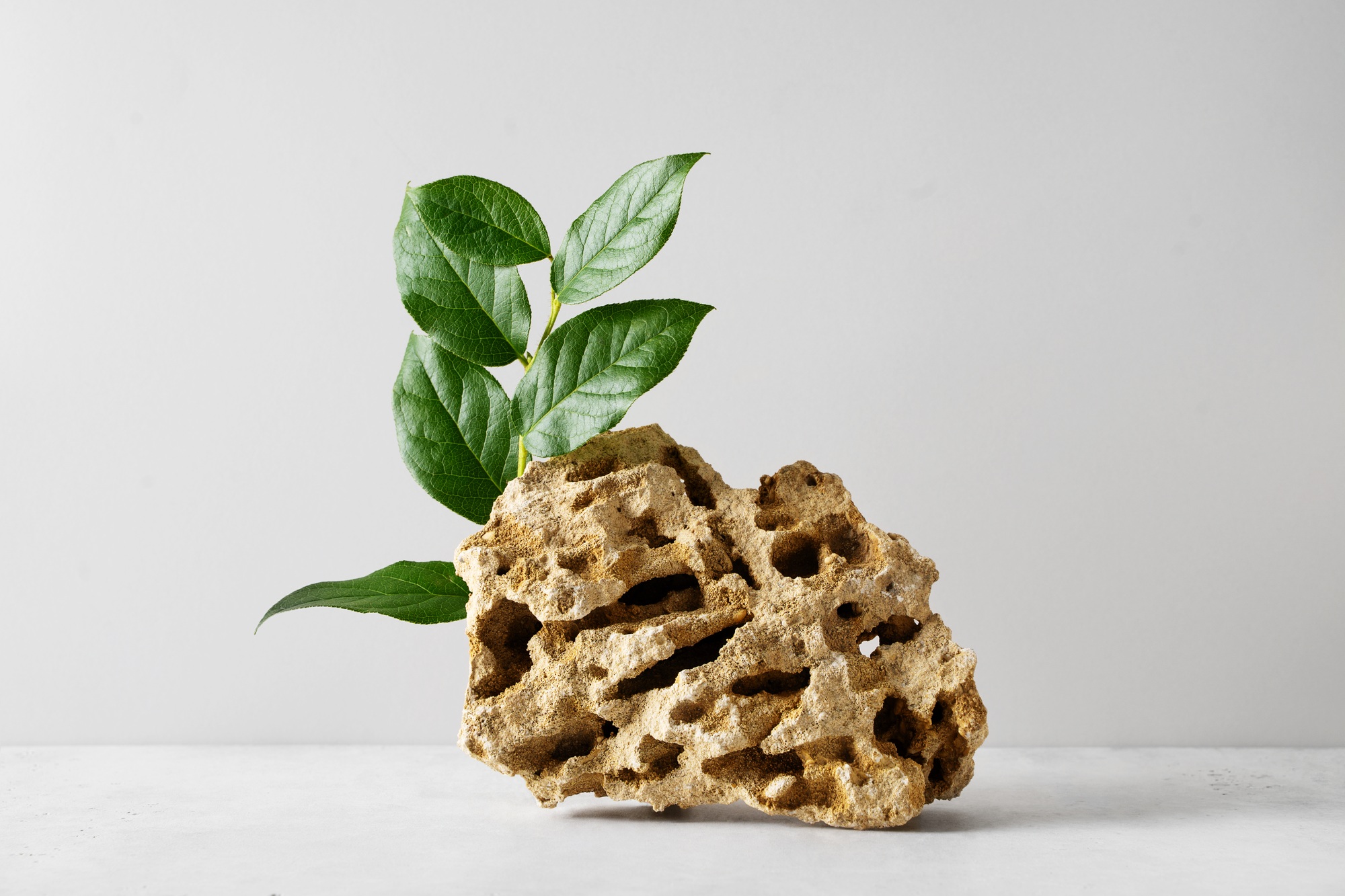 stone podium mock up with fresh greenleaves mock up for product cosmetic.jpg
